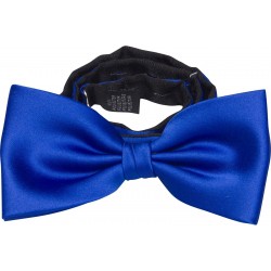 Koboltblå butterfly